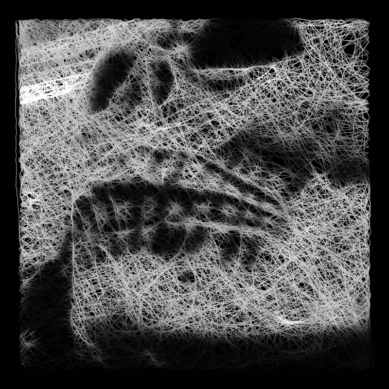 cotton skull L