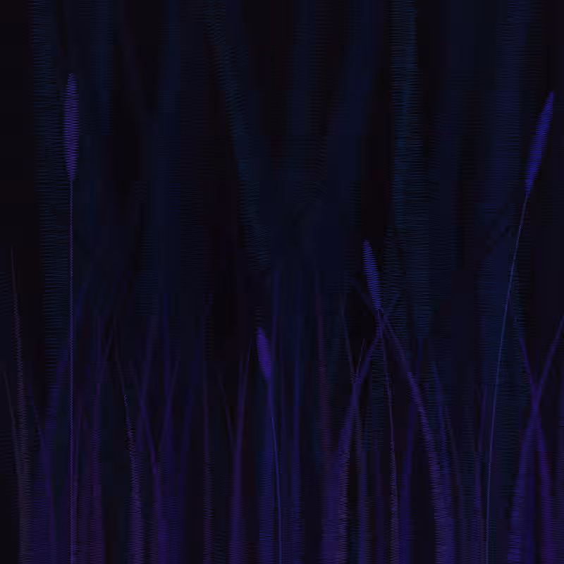 ZigZag Garden #3