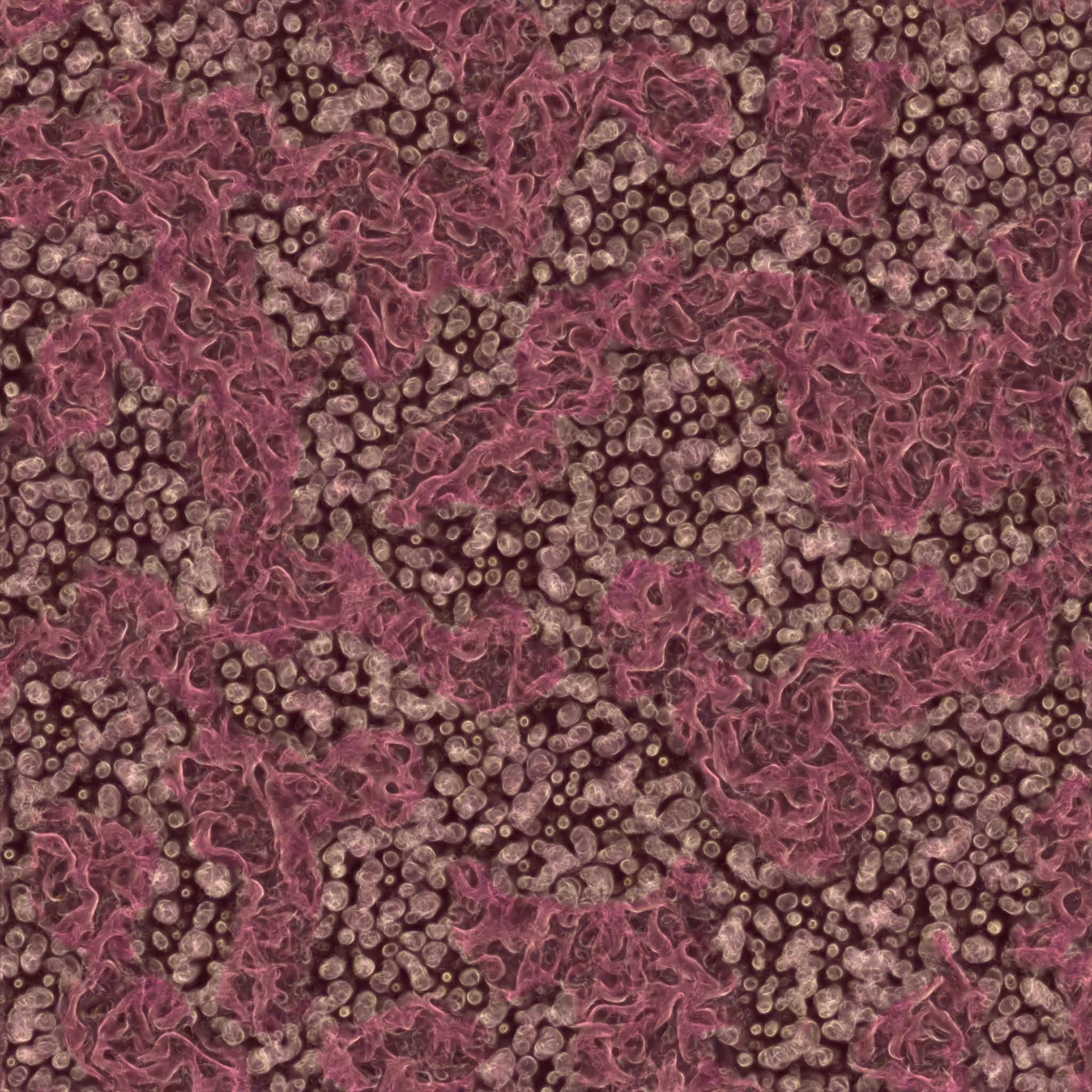 saprophyte #124