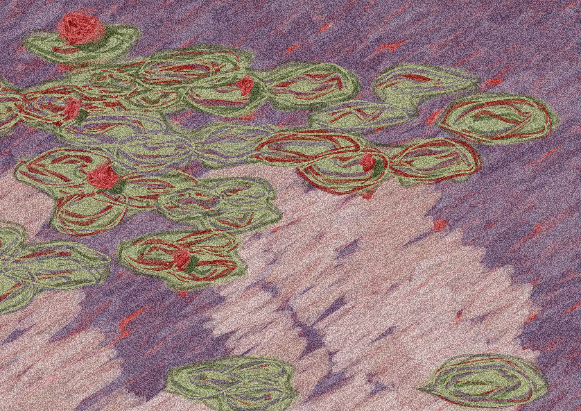 Water Lilies #17