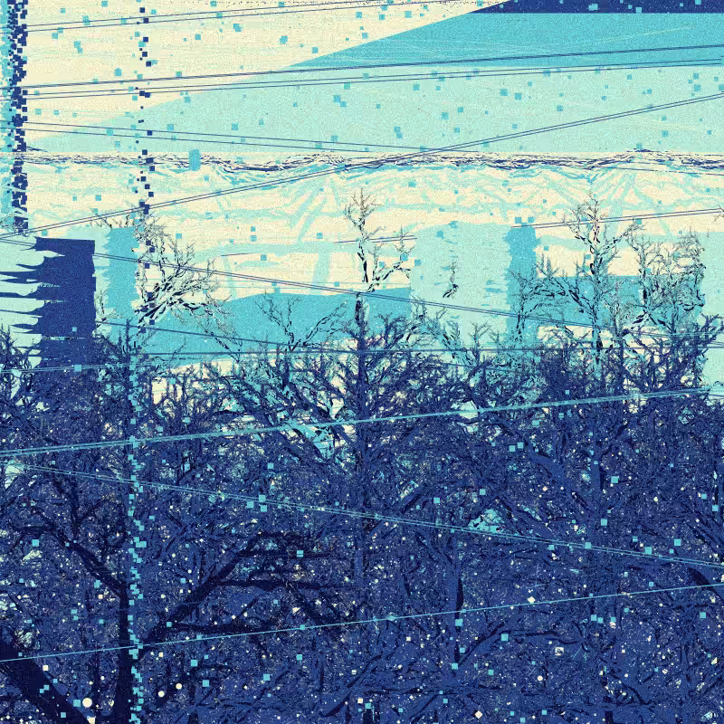 The Wintertime #29