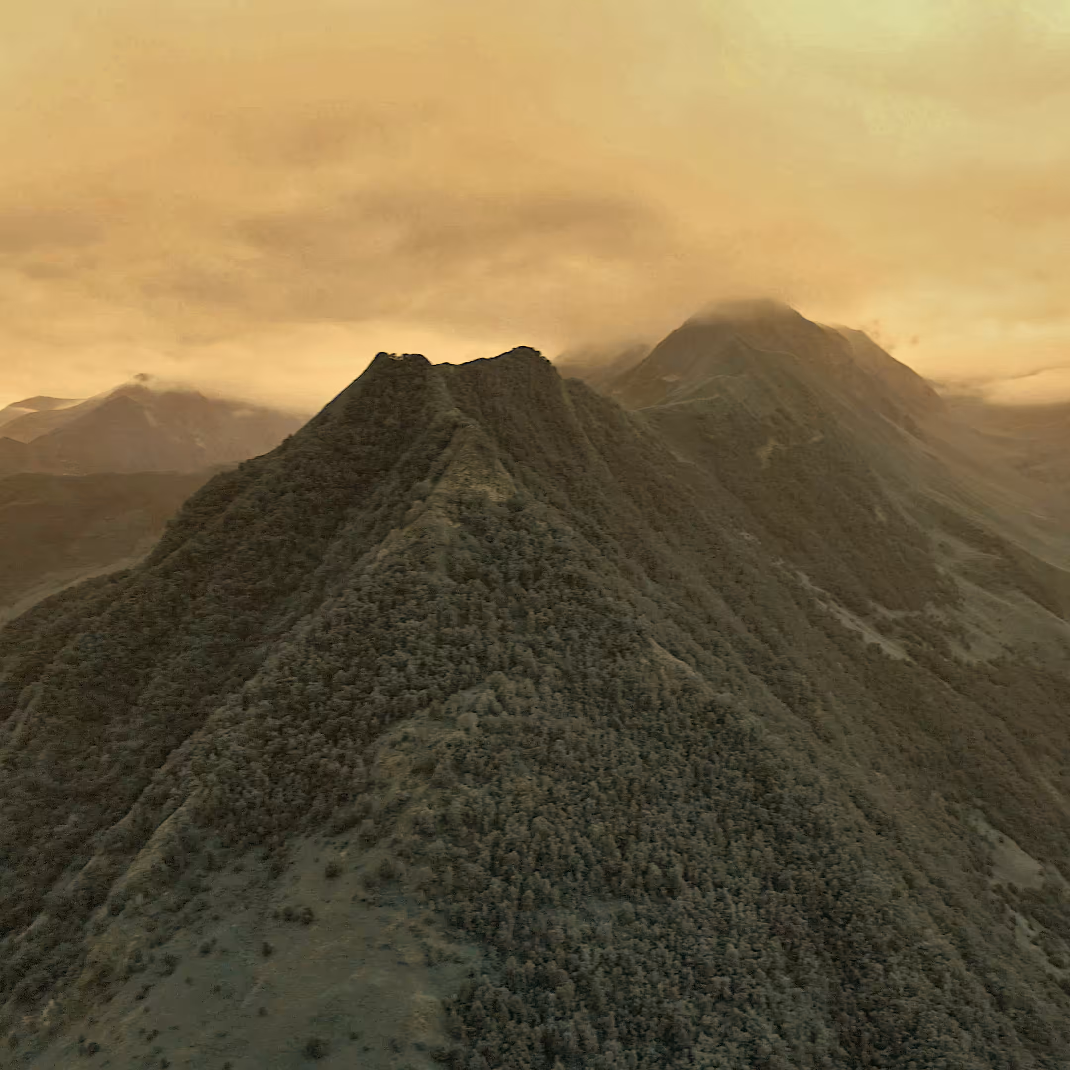 Captured Perspectives: In the mountains