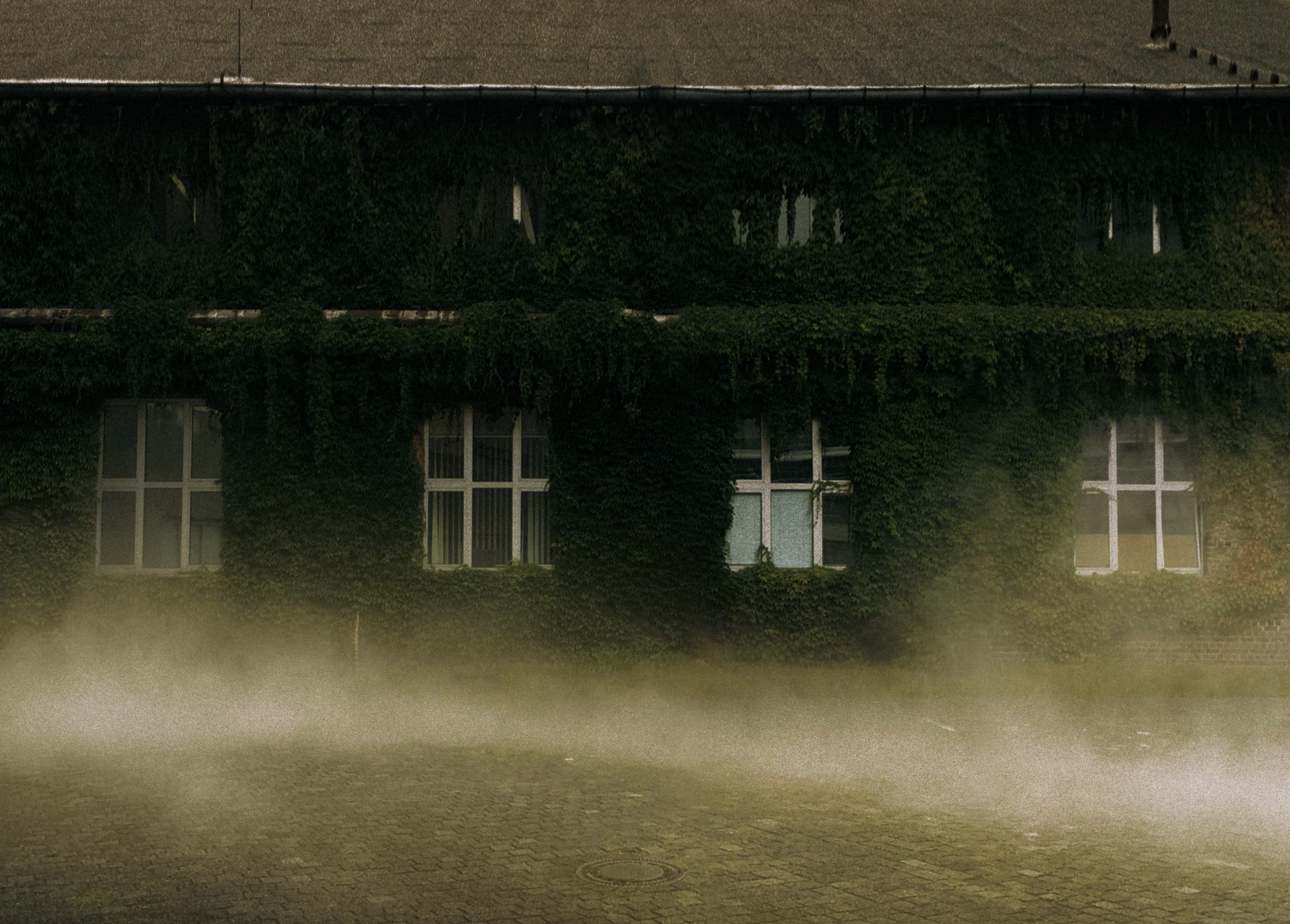 Ivy Mist