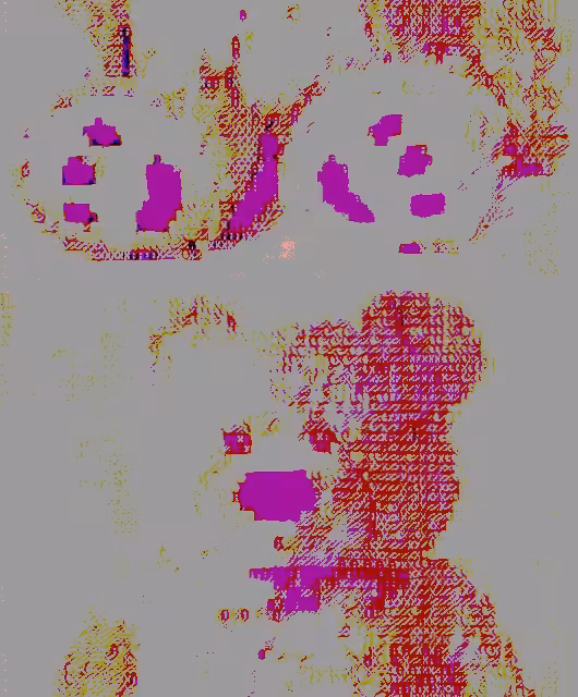 Toy bear