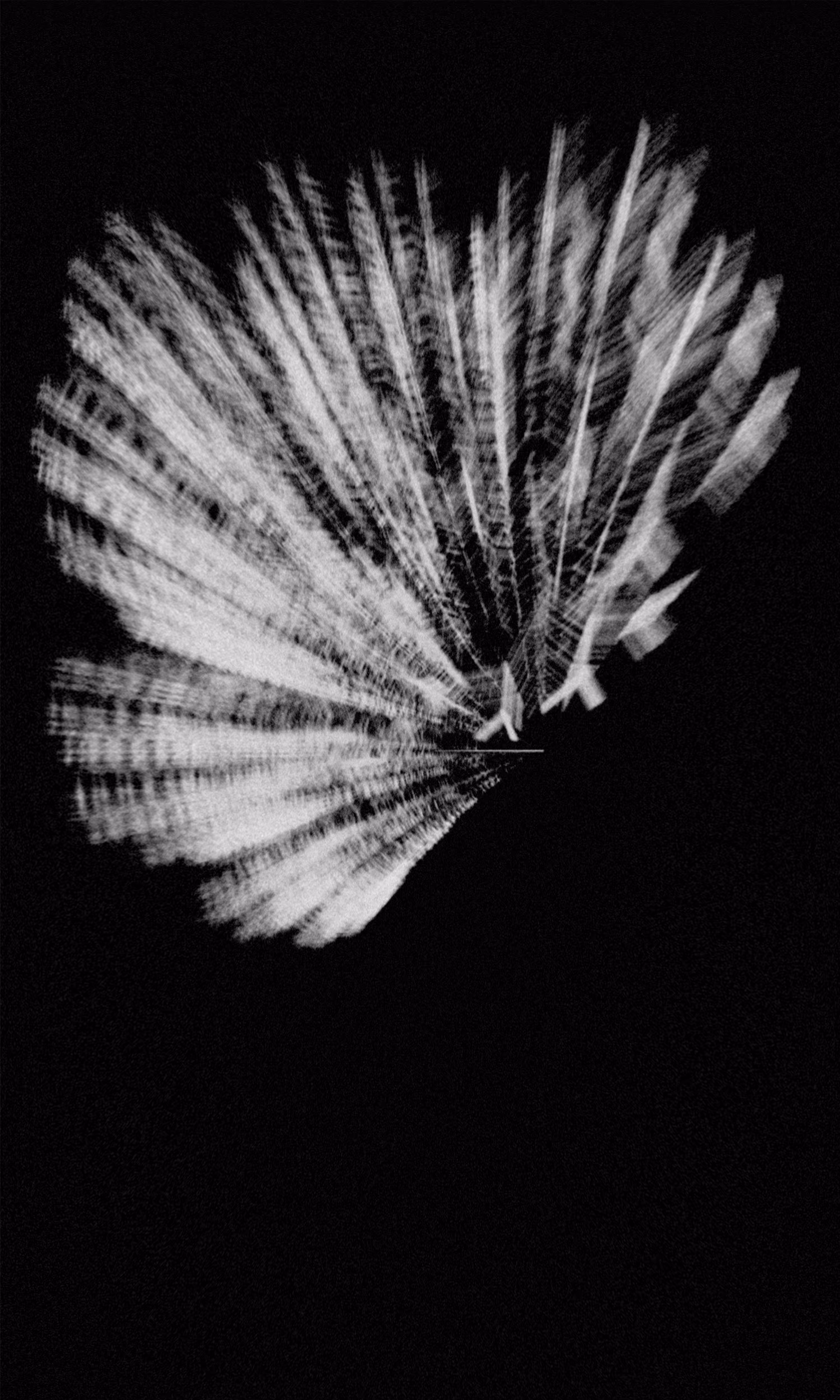 Collection: Generative Monochrome | Name: Cherno Perö