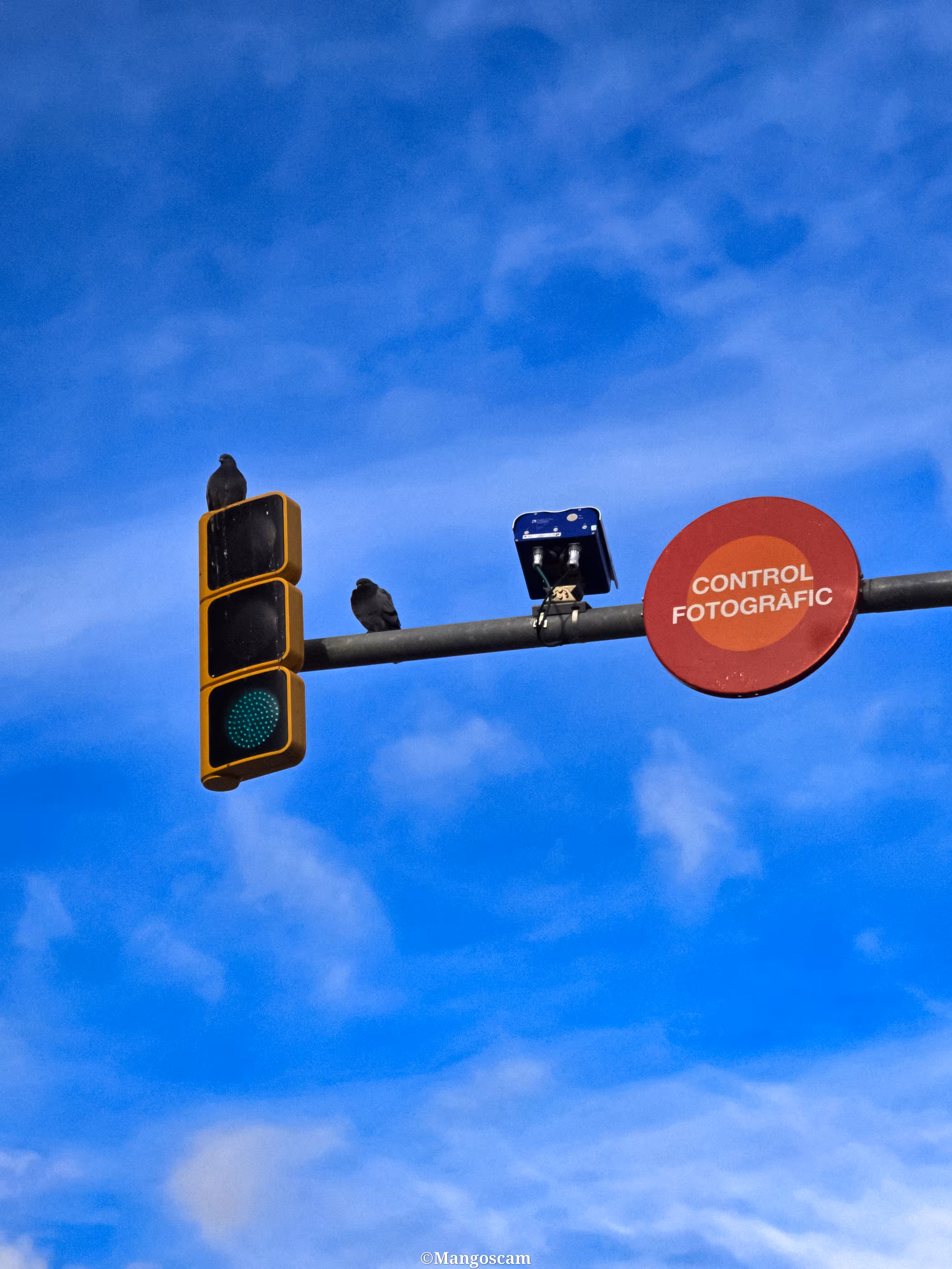 monitored.