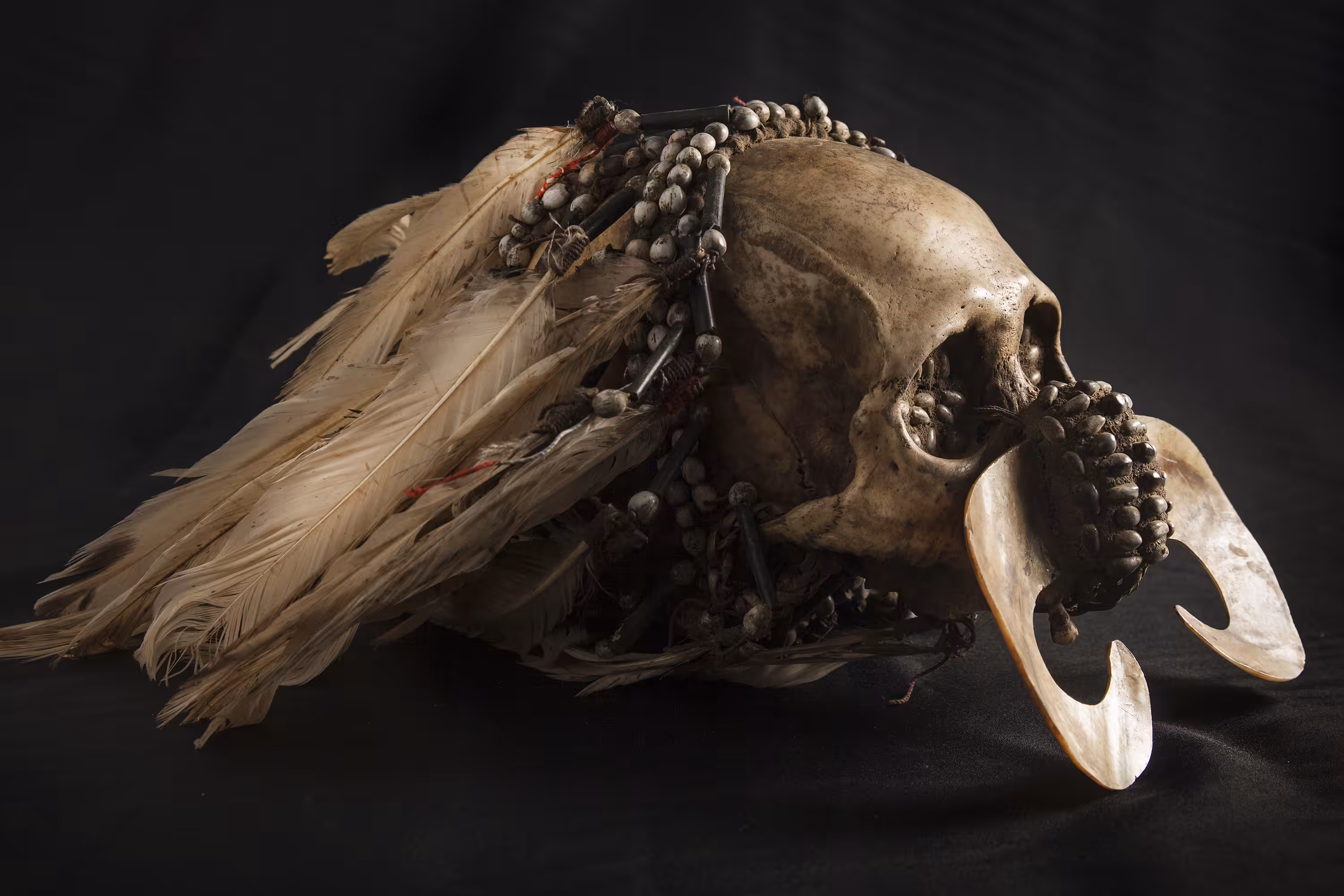 The Ancestor Skull