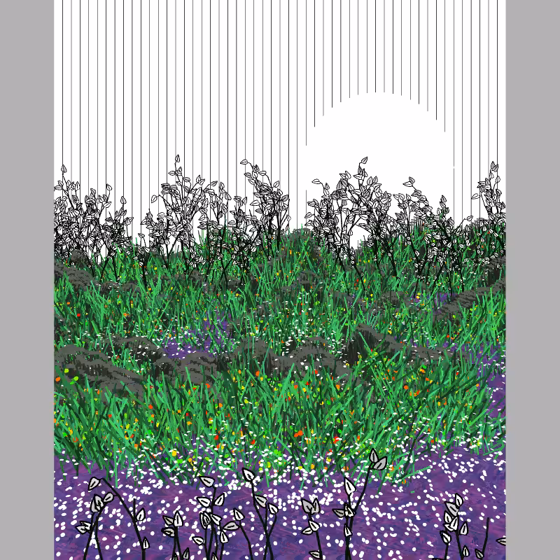 Contours #43