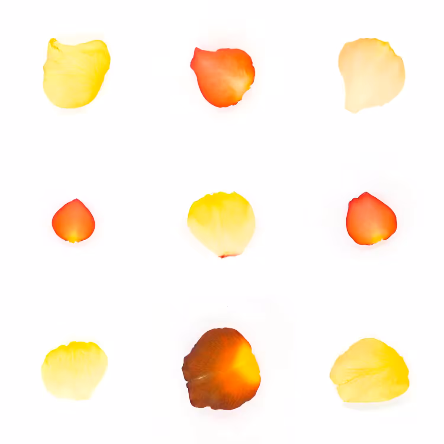 Infinite Petals 3x3#3327