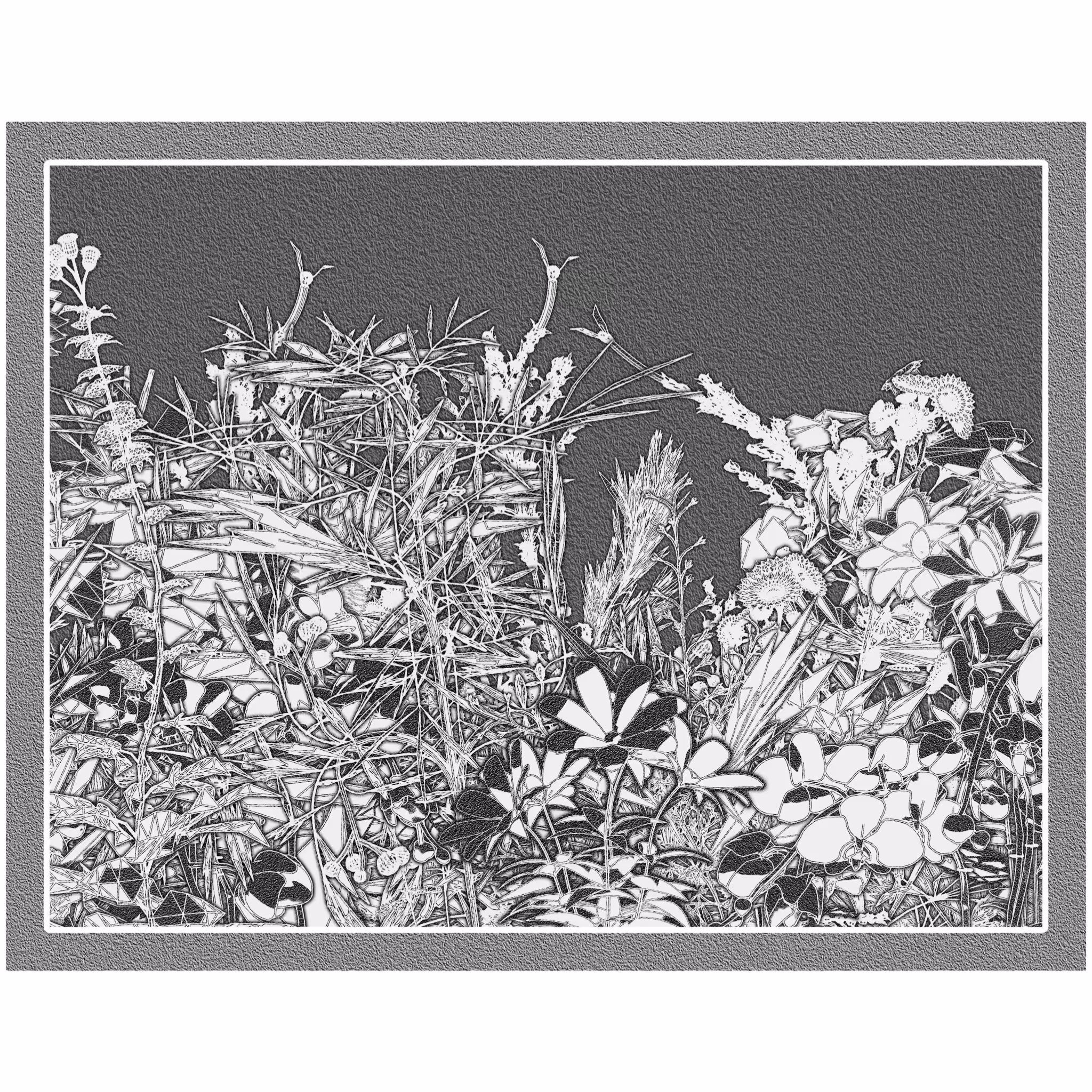 Flower View #321
