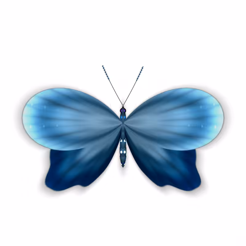 Vlinder II #1