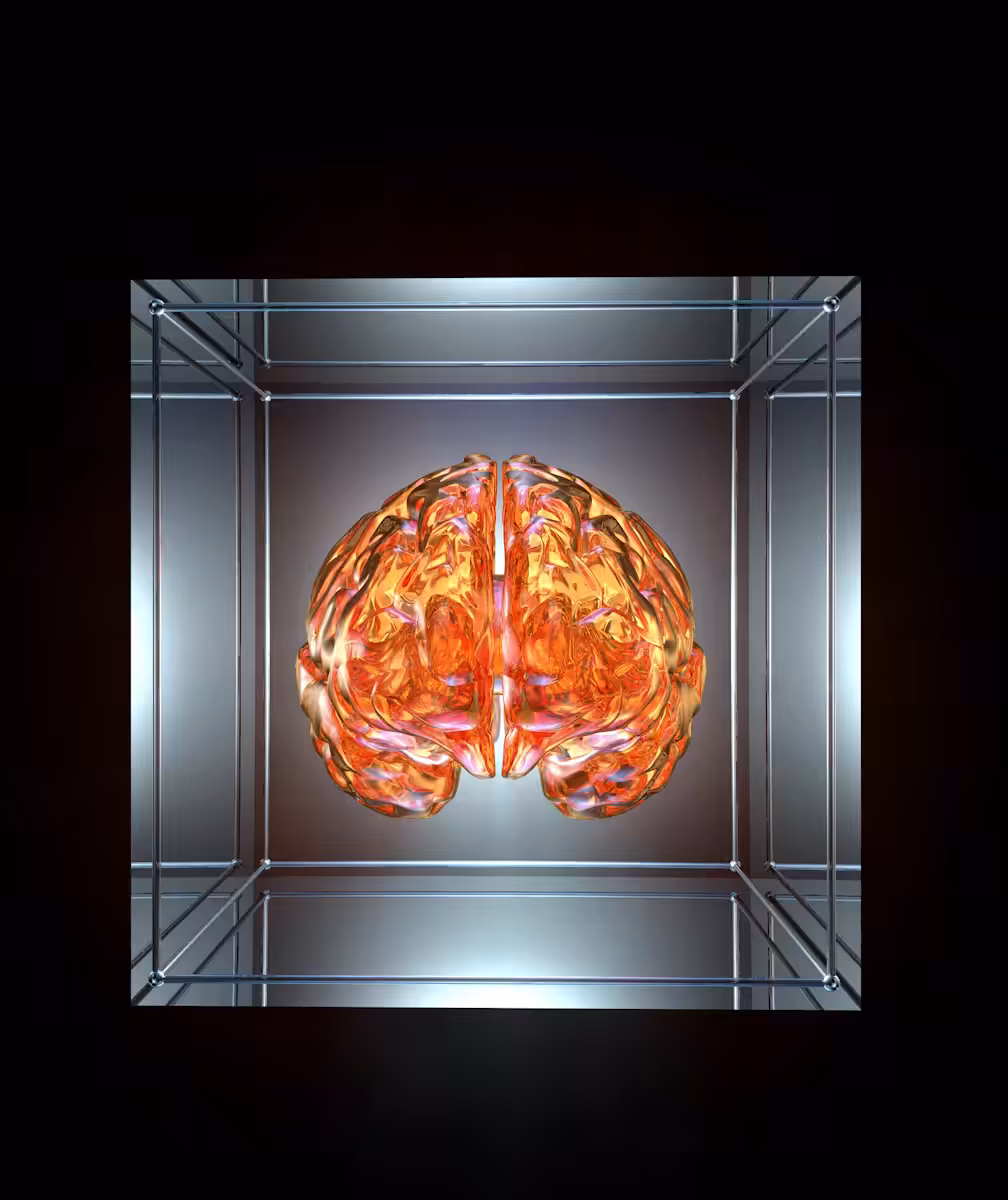Crystal Cubez³ = brain