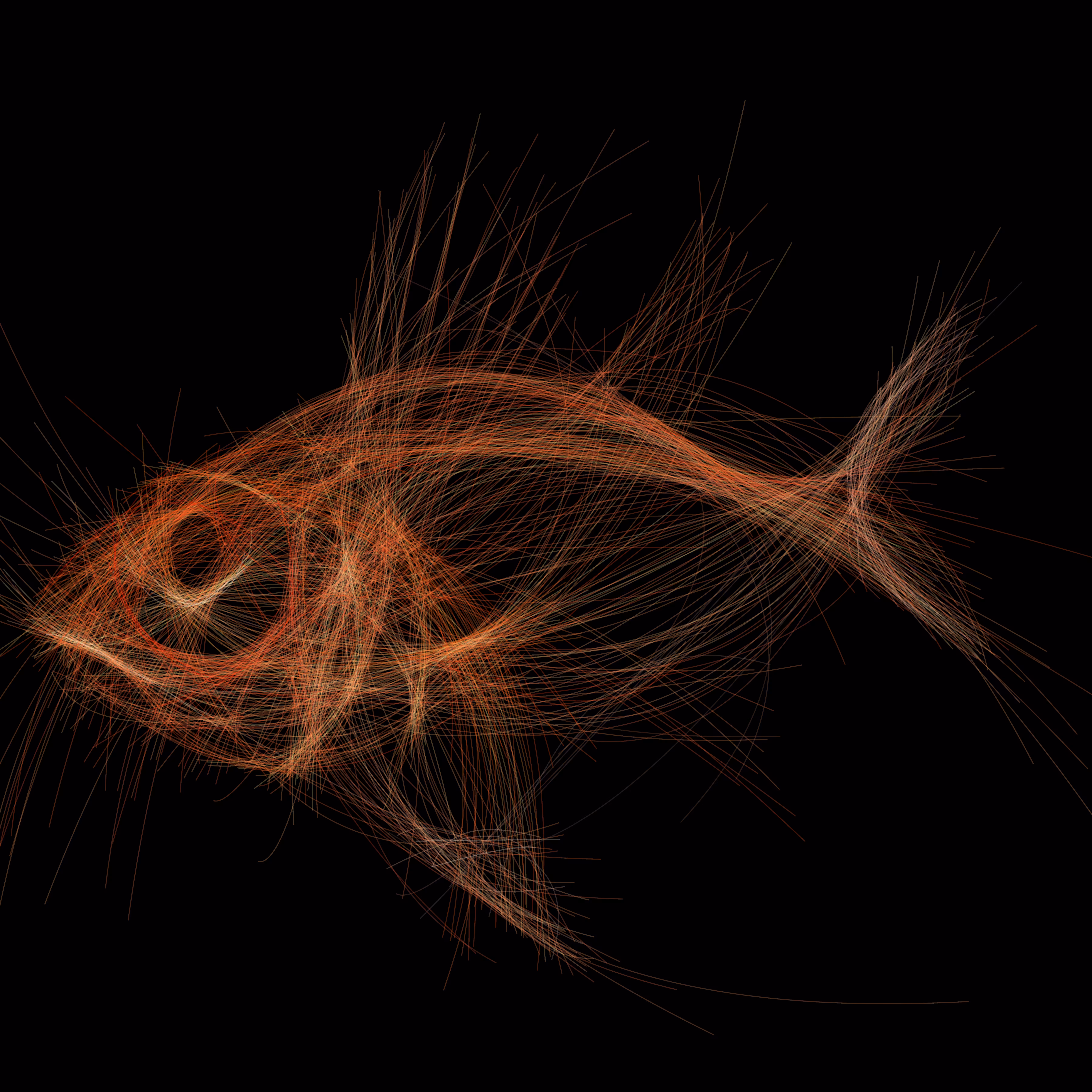 UNDERWATER: Underwater 244