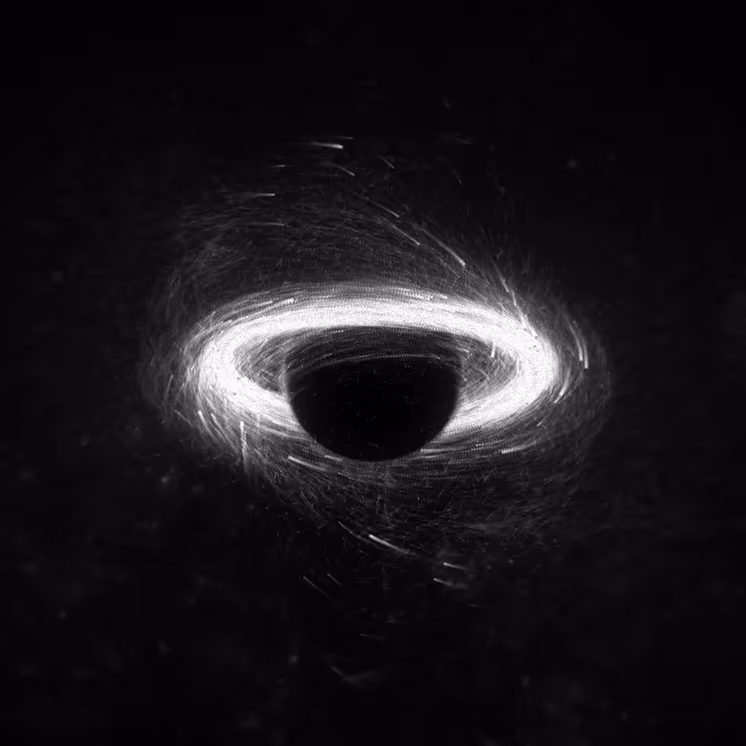 Euphoria Seismic