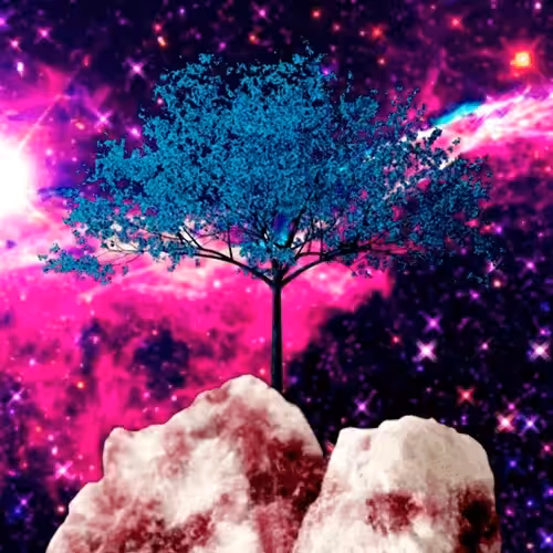 Tree #13