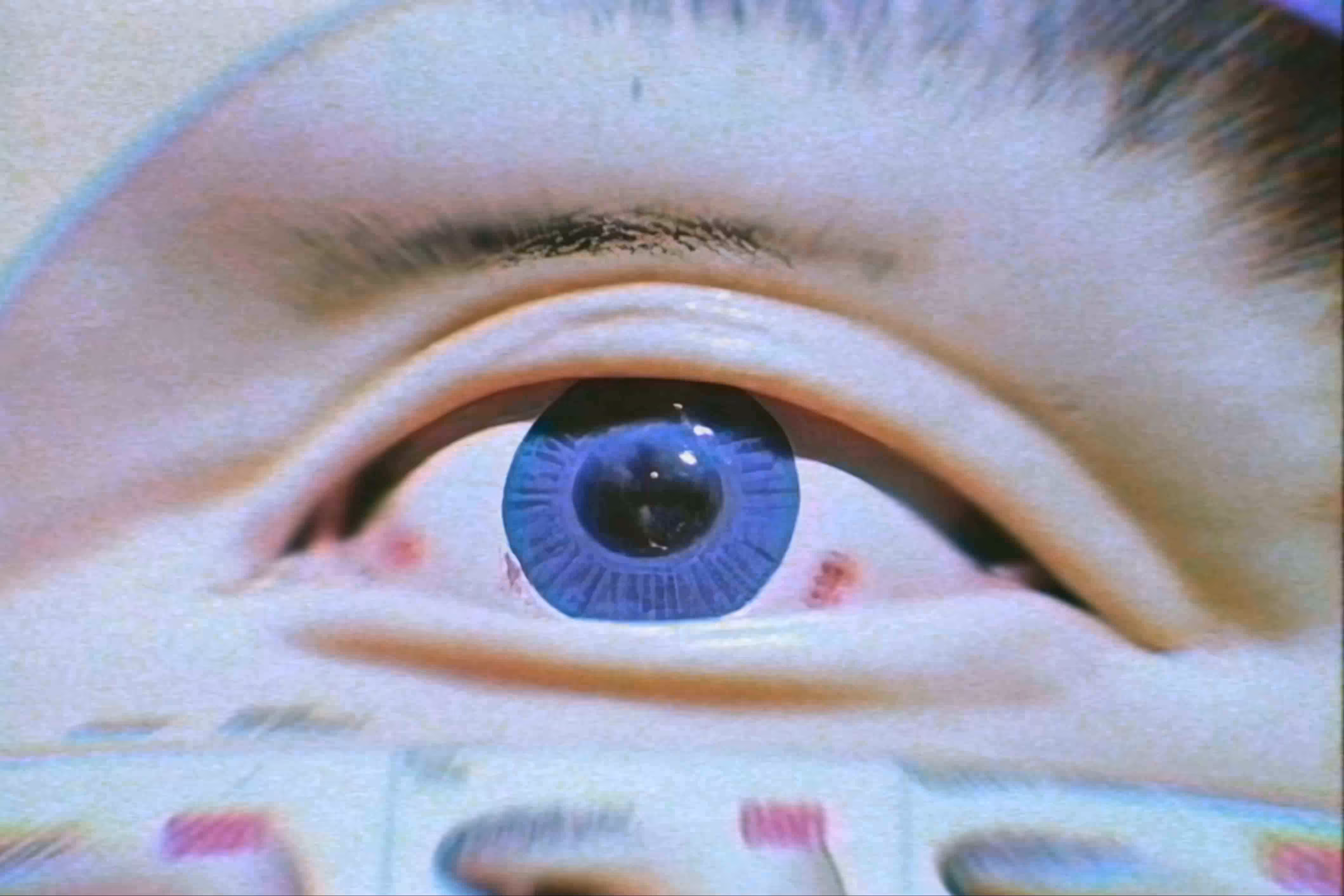 Katie Morris - Fragments of the Digital Self