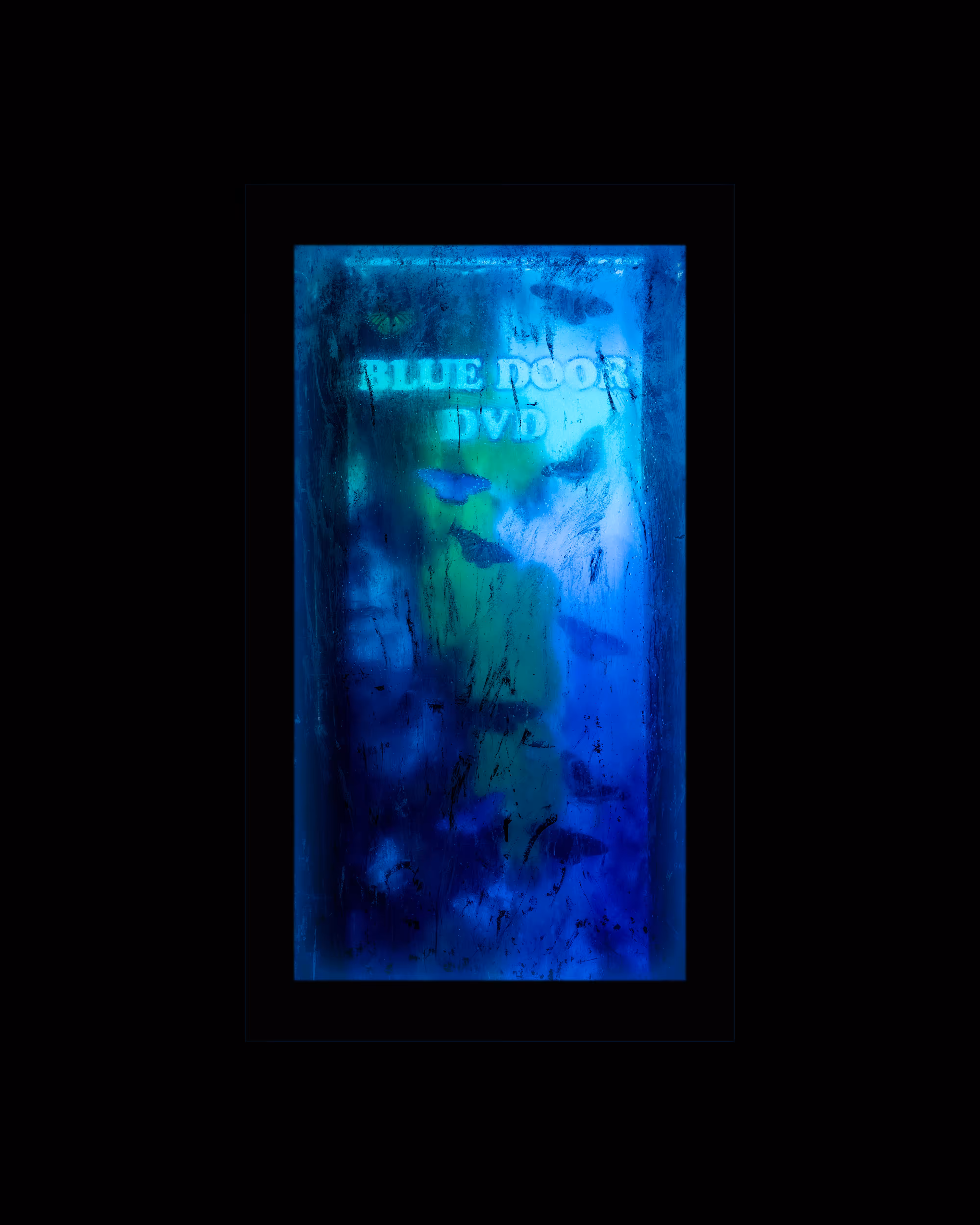 WINDOWS // NYC: WINDOW 541