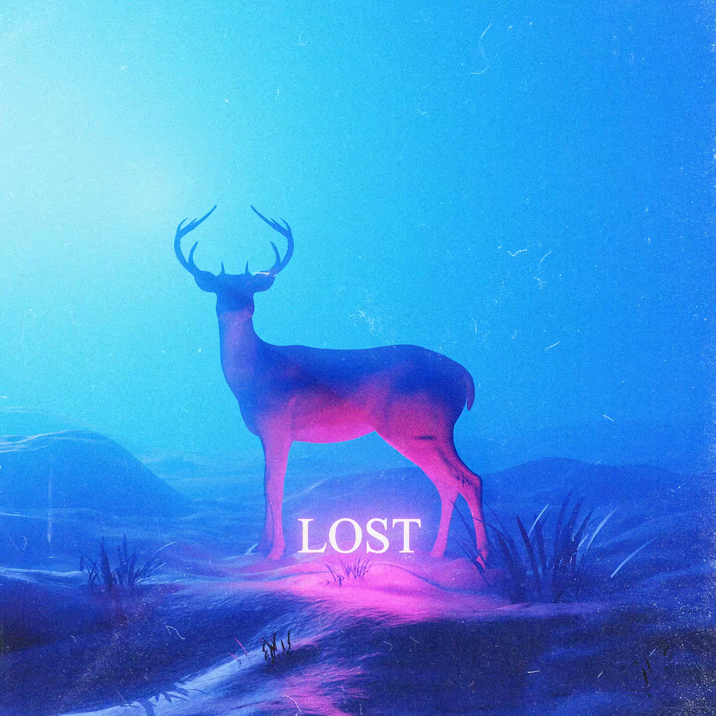 LOST