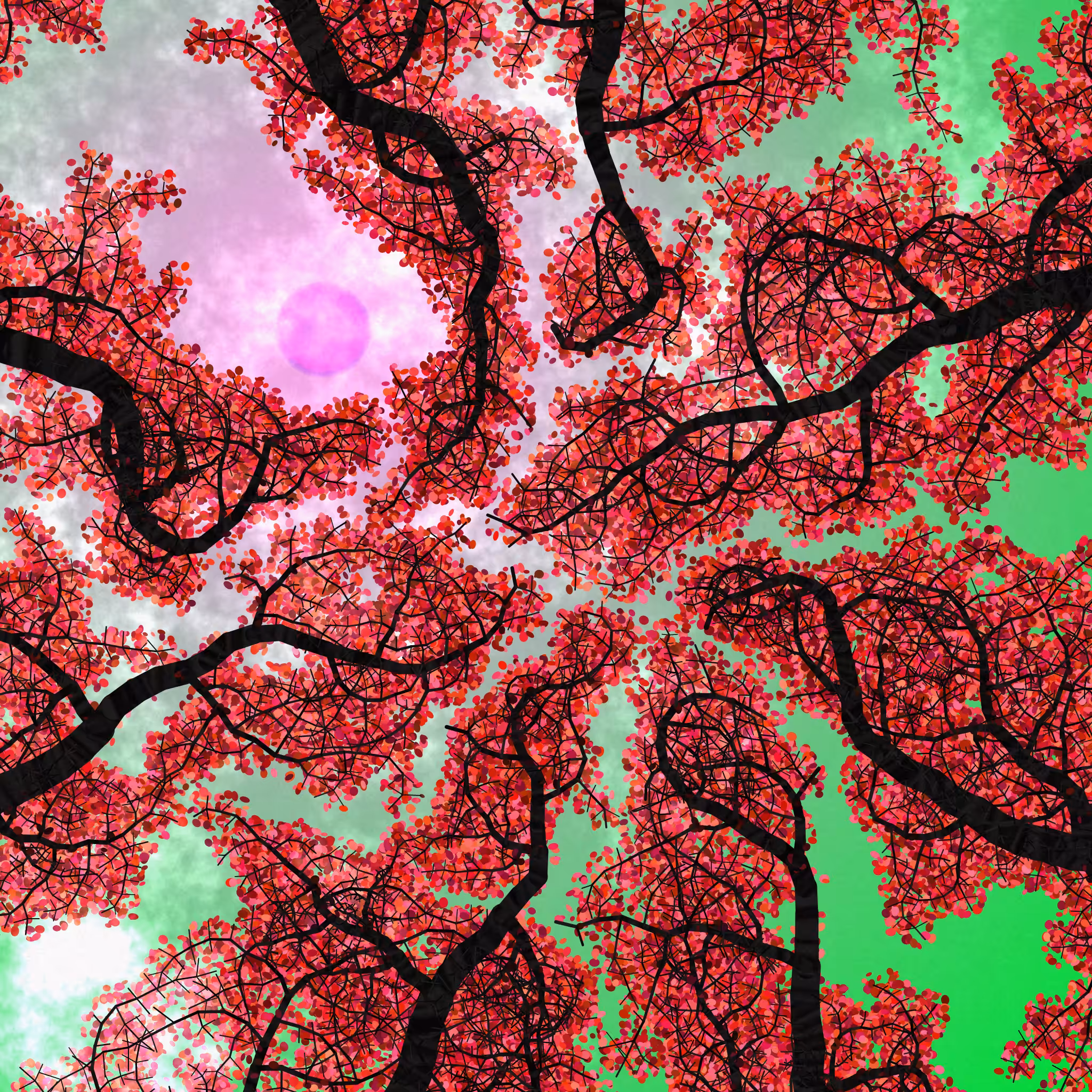 Tree Skyness #26