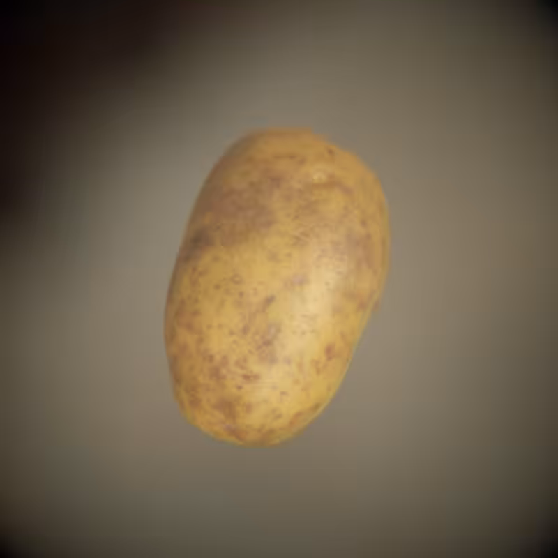 Rubik's Potato