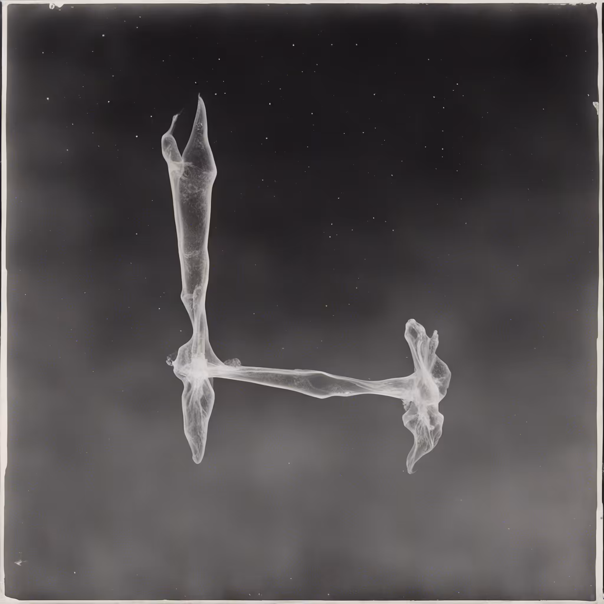 Paradox Post-Photography Archive #123