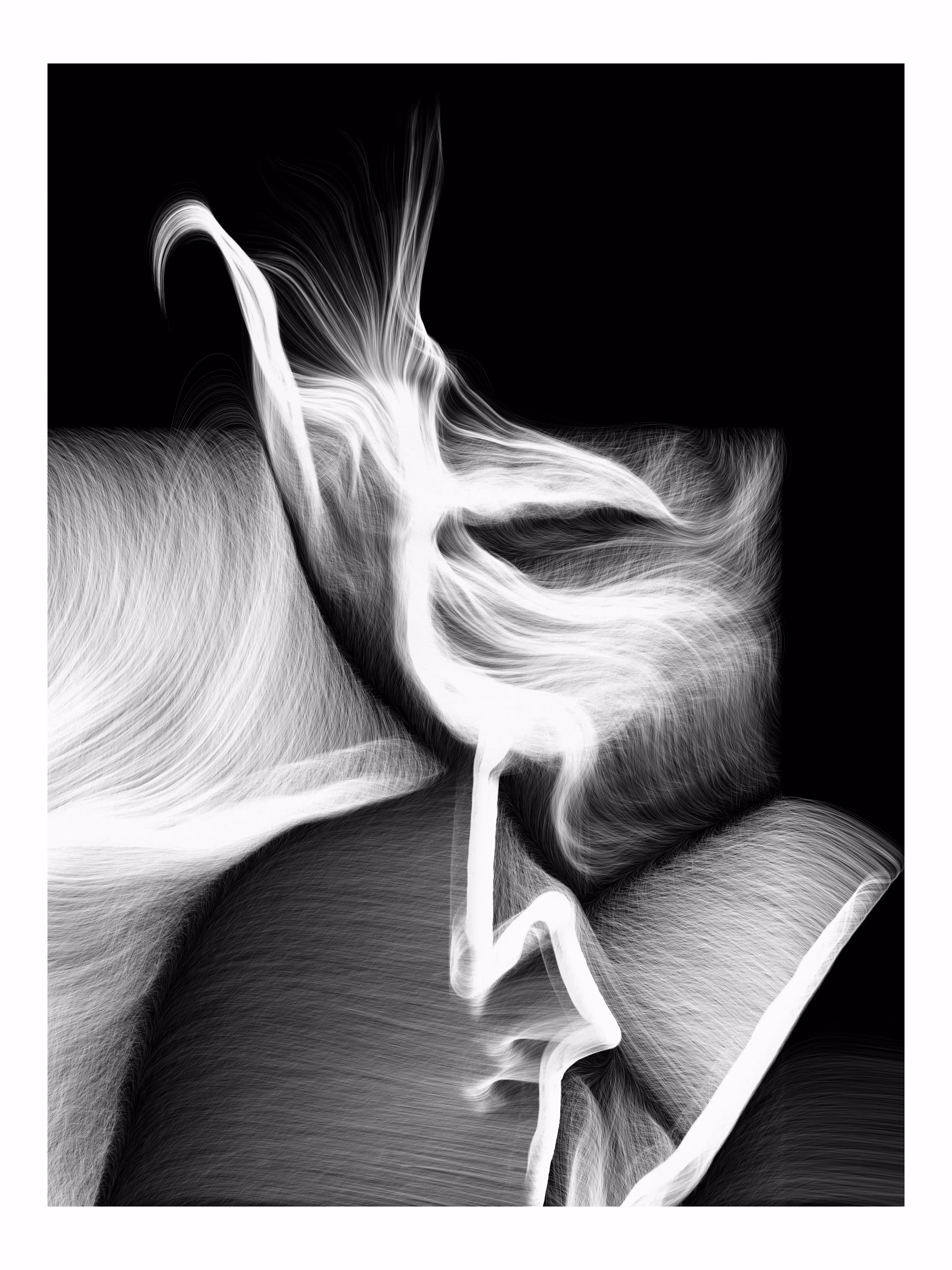 in the lines#PRT003