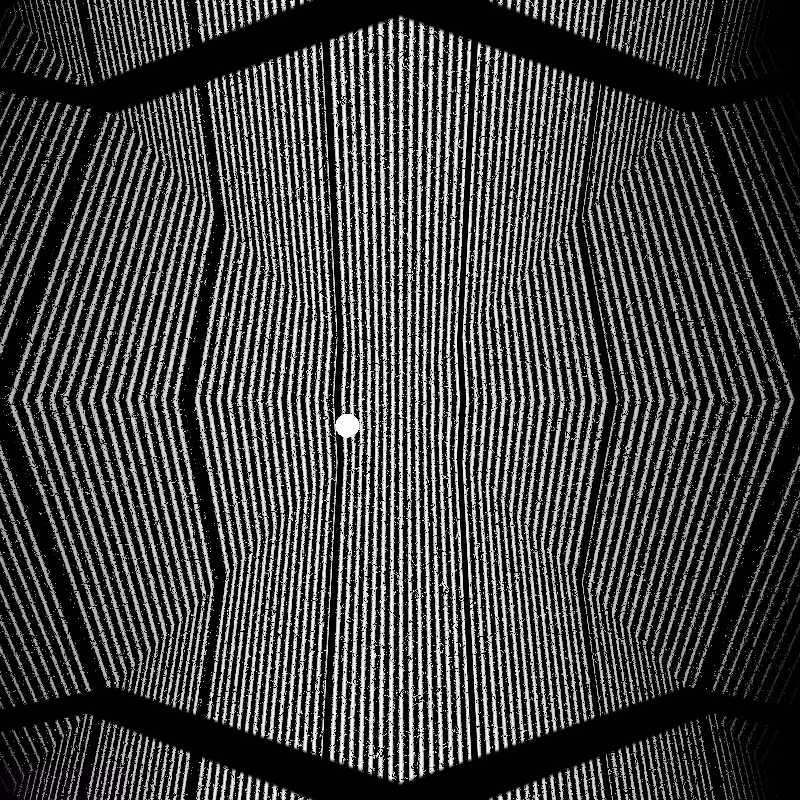CARBON #16