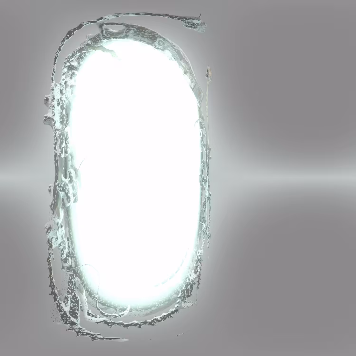 。゜゜(´Ｏ`) ゜゜。