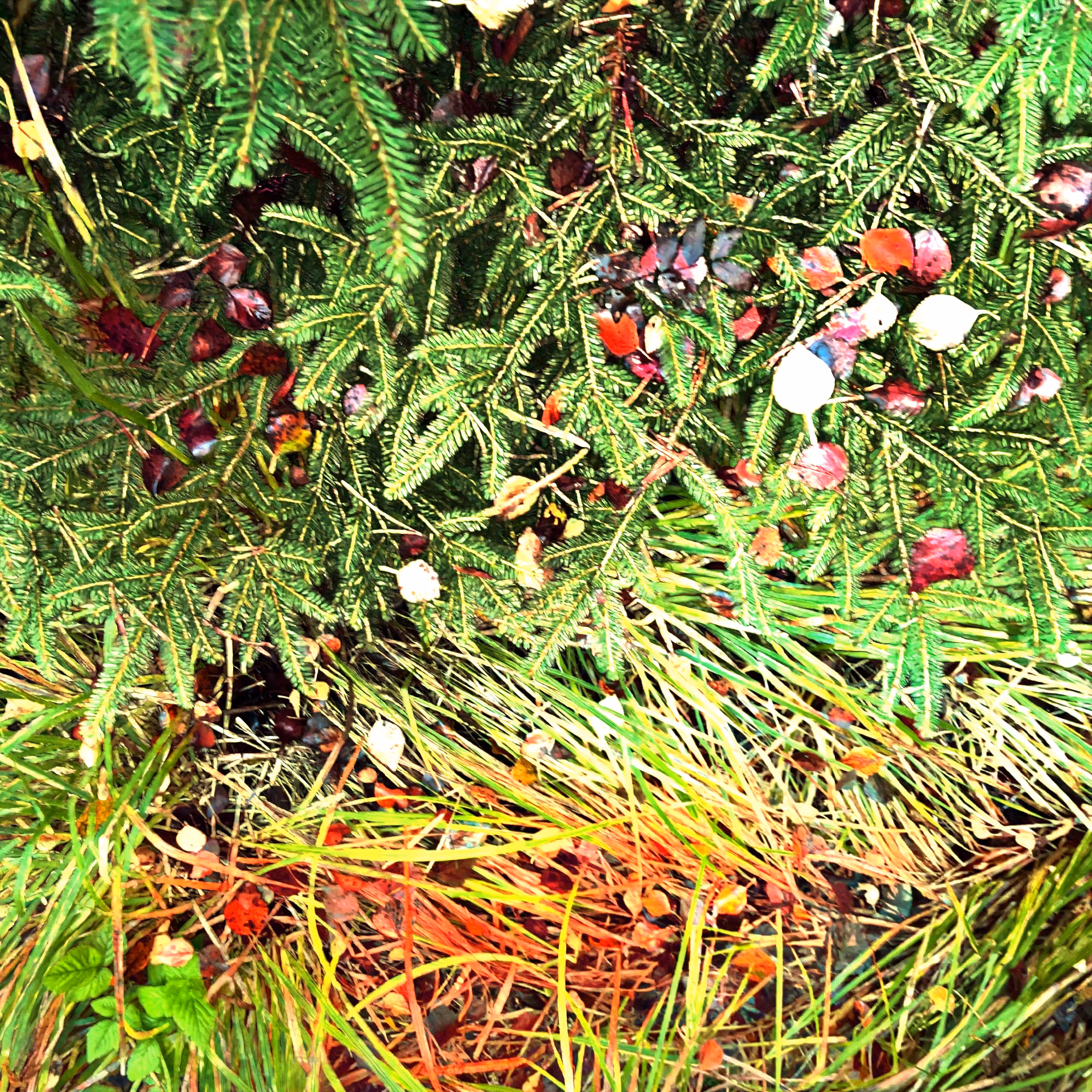 Autonomous Forest Plots: Plot u329hvn78