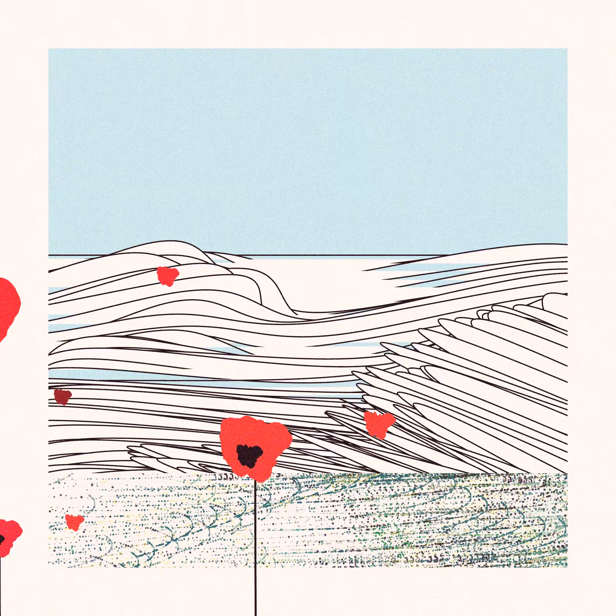Poppies of Normandy