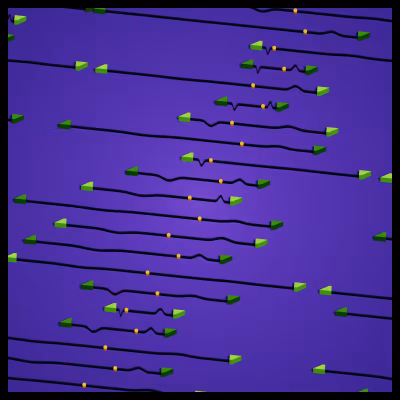 Neural Collapse #196