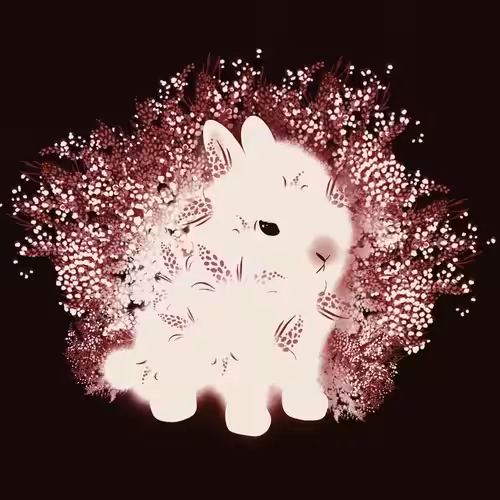 Lepus Cherry Bloom