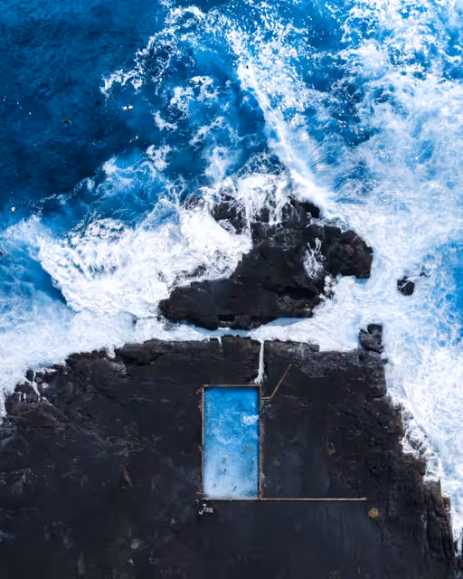 Ocean Raw #17