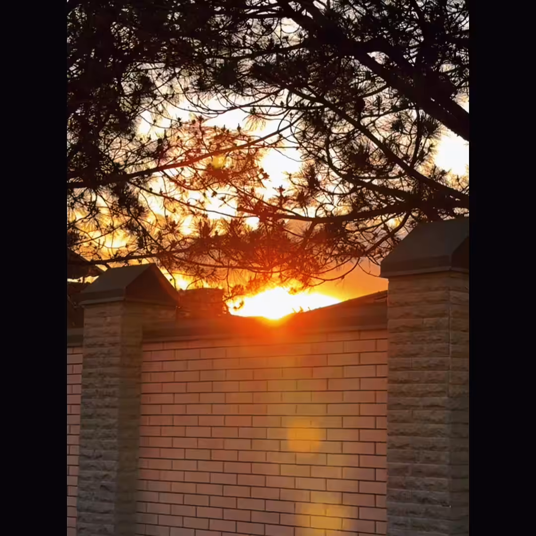 Joy of light