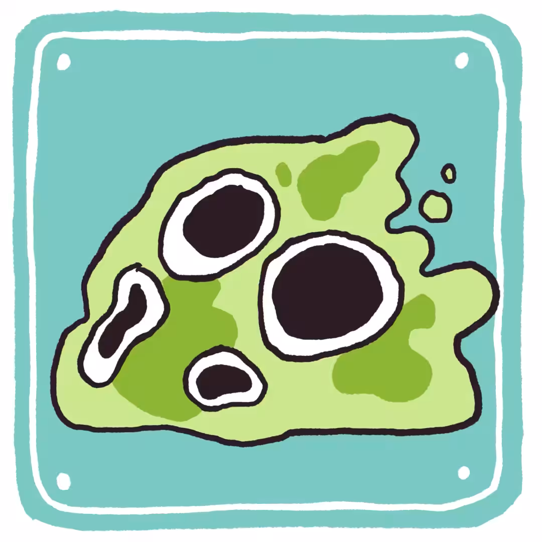 Monster Store #001 Little Slime