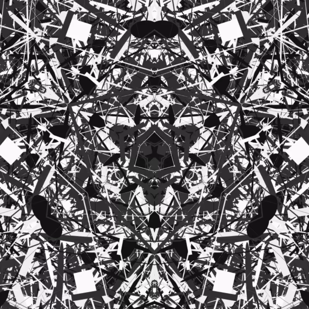 BW 3 mirror #13