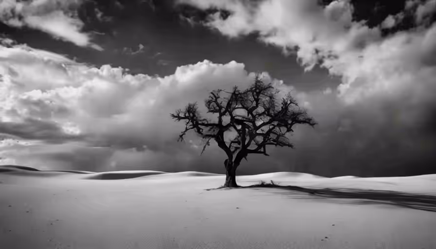 The Tree of Life