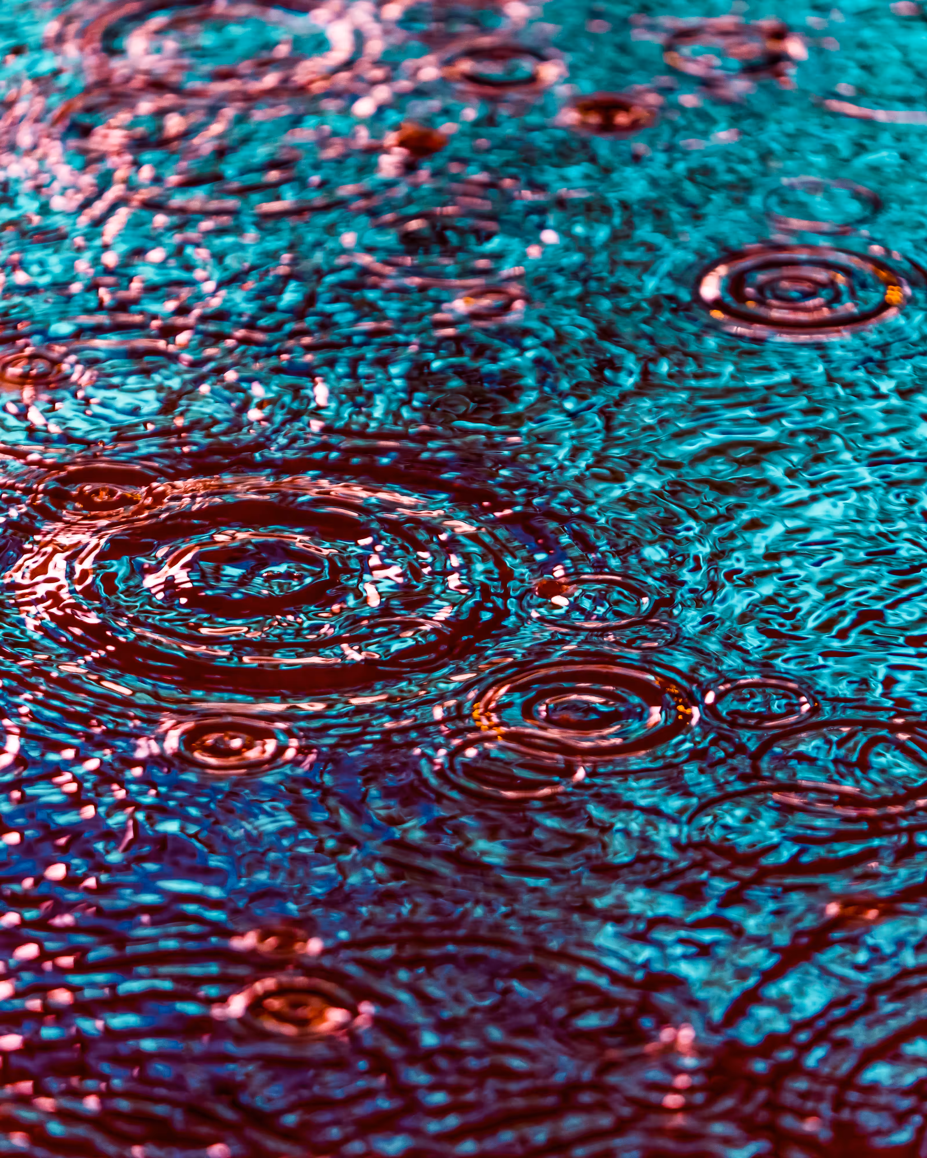 DRIP #275