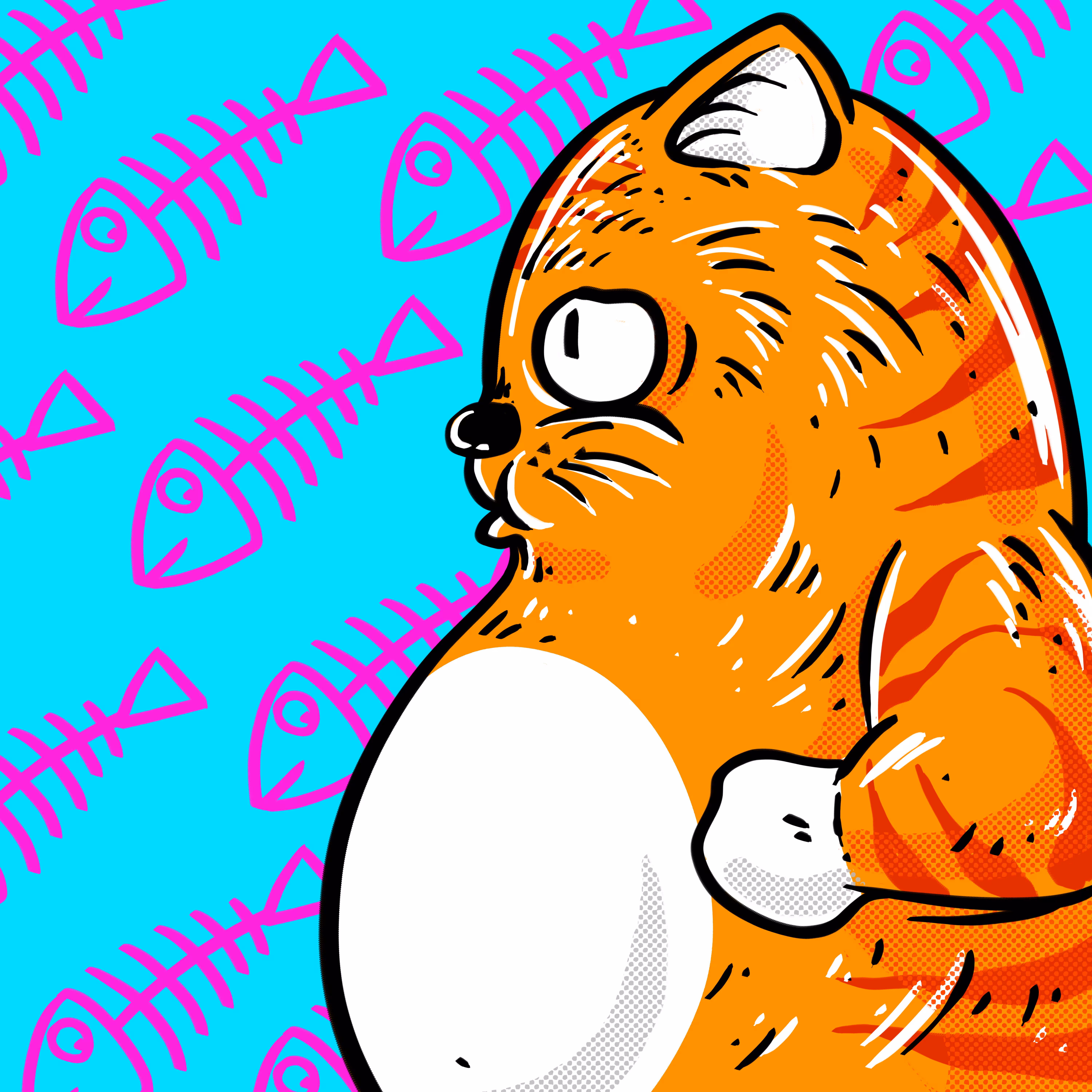 fatcat series orenz