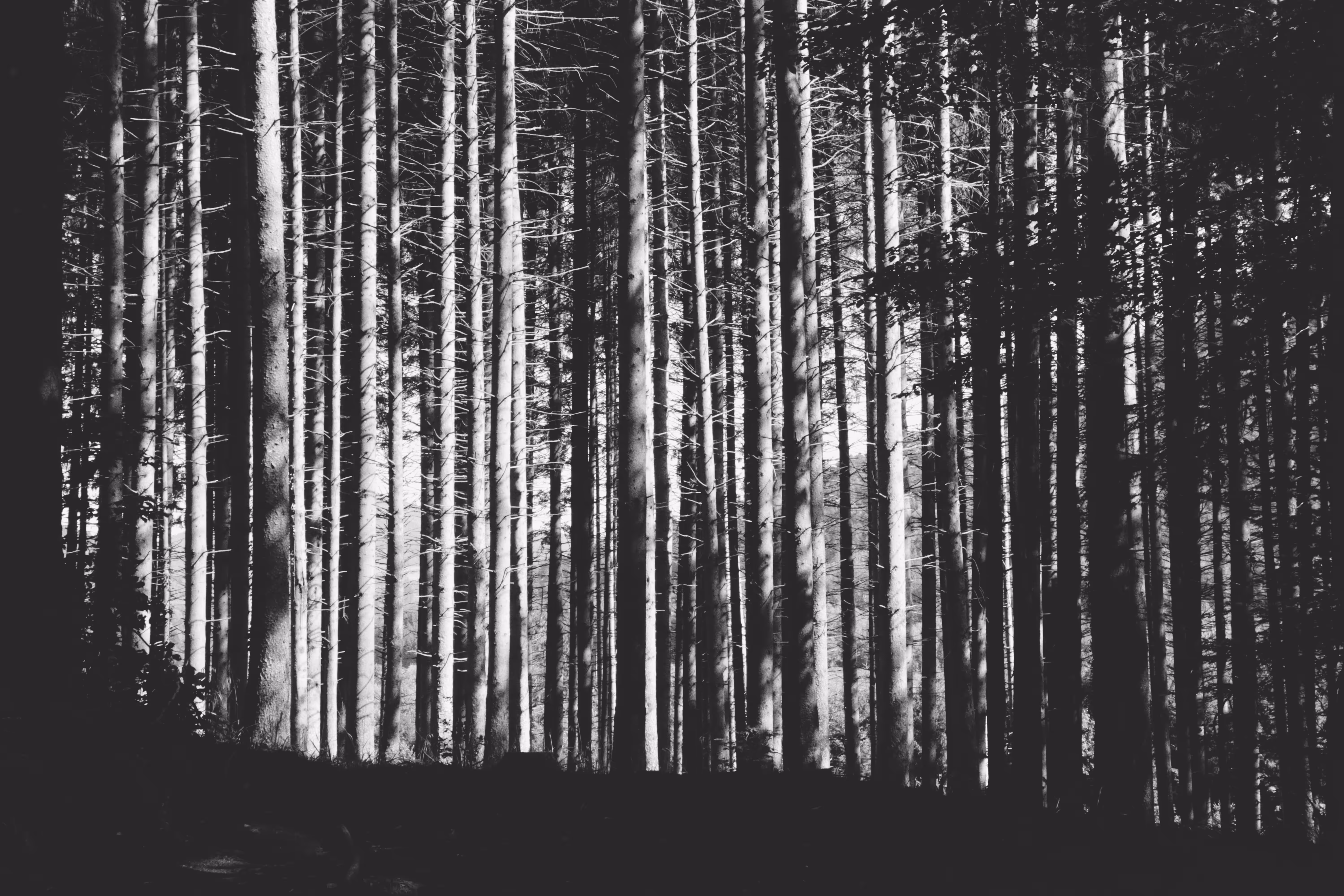 Vosges 0.01