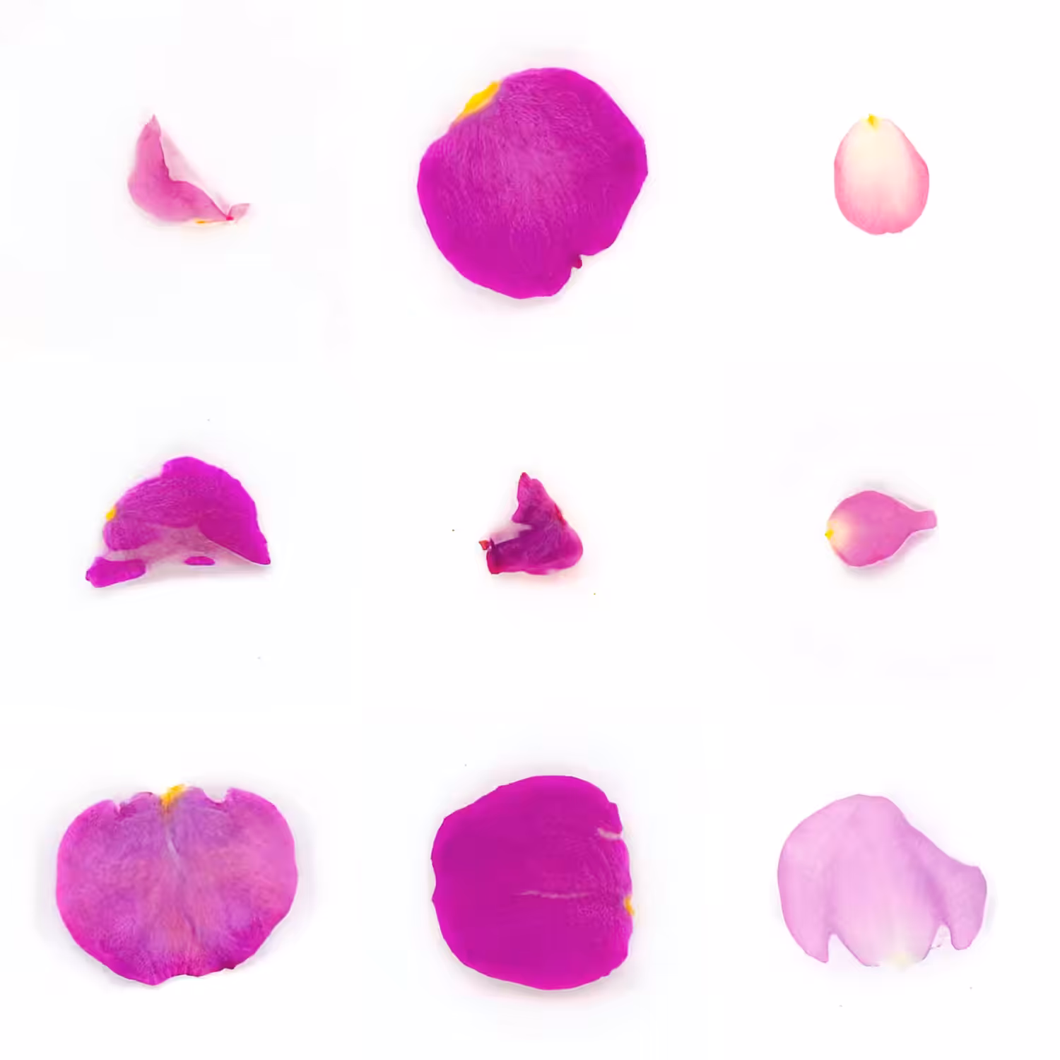 Infinite Petals 3x3#3100