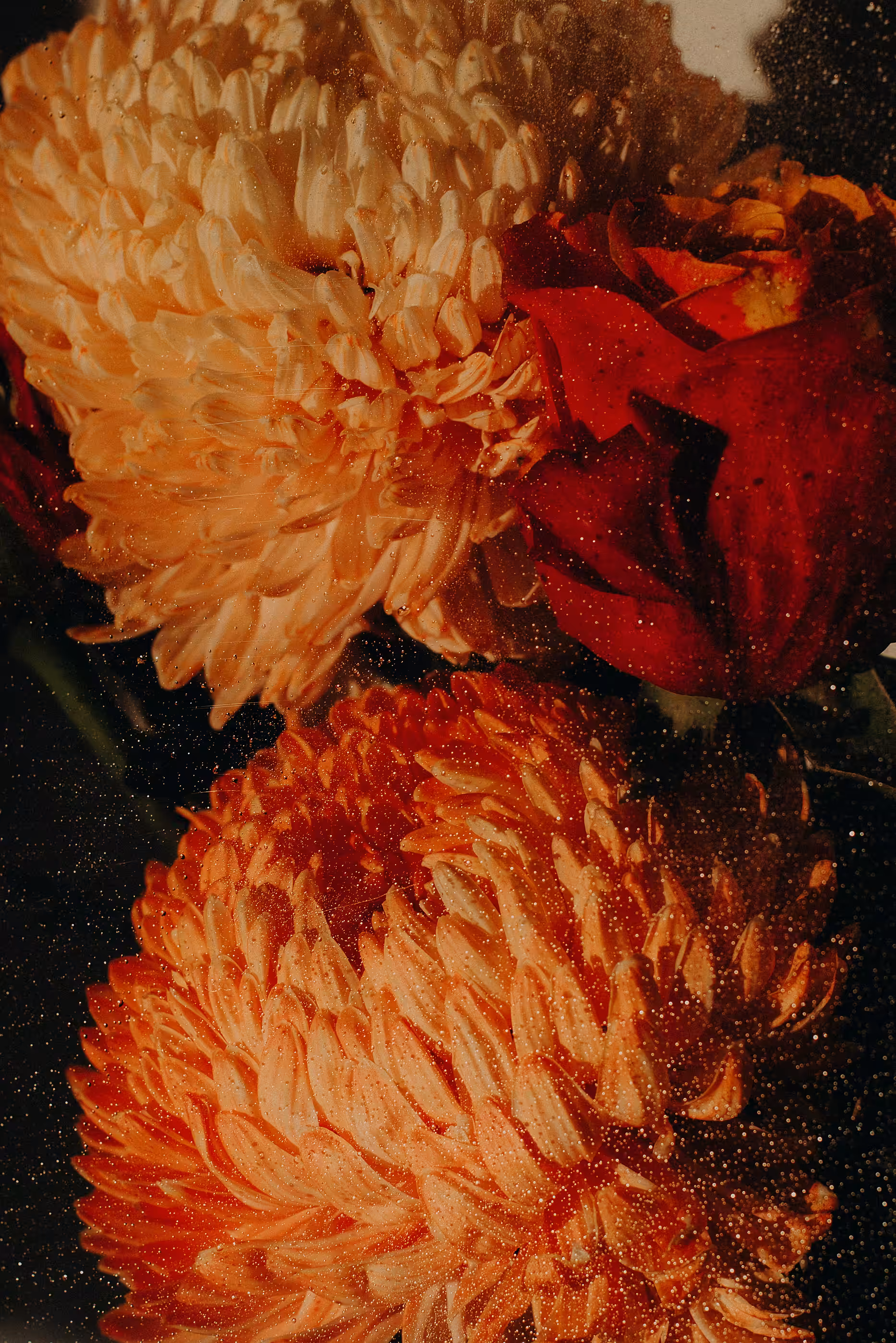 Still life 02