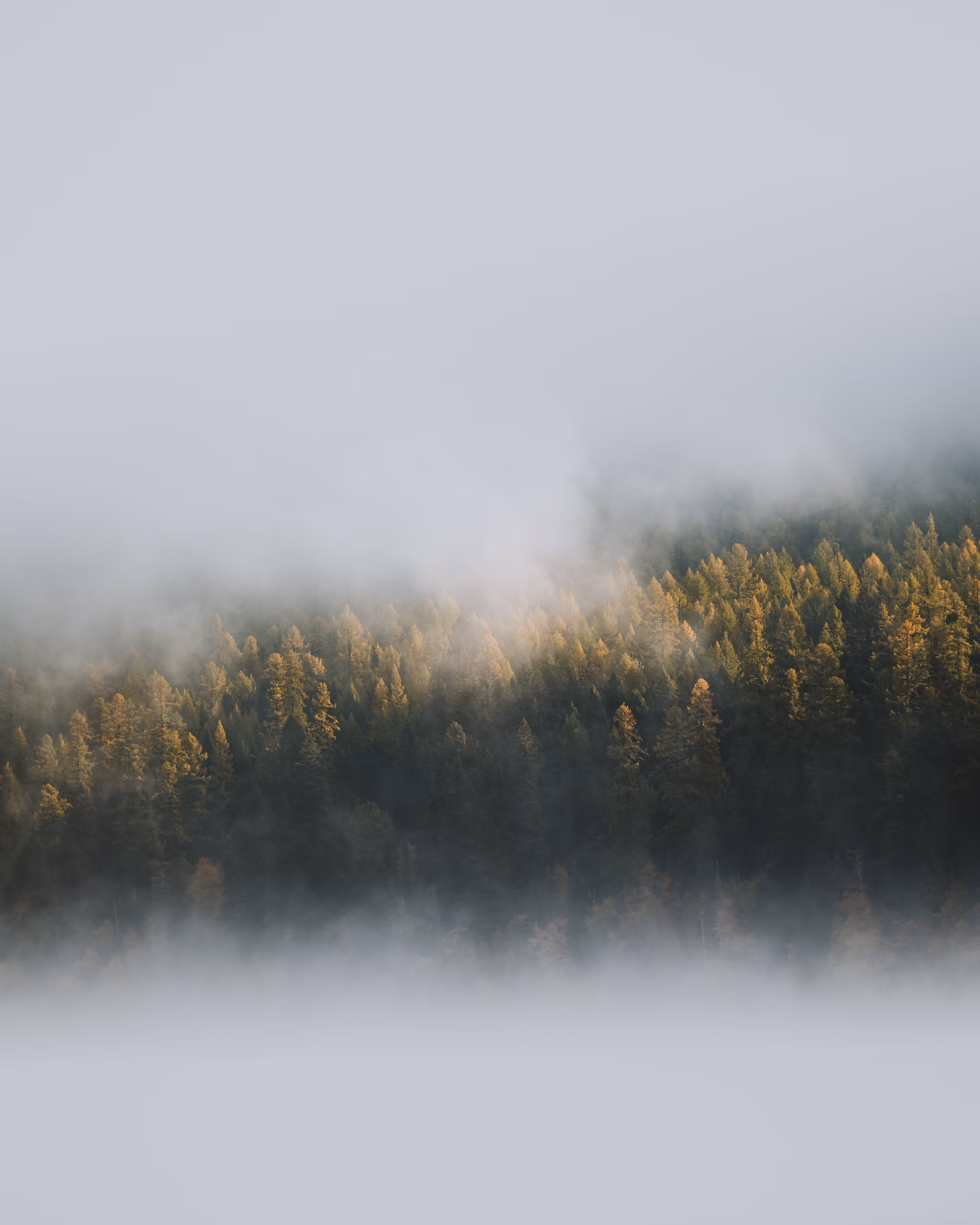 Silence
