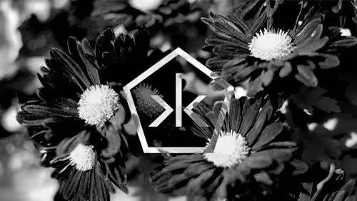 Fame Is A Bee | Cinemagraph 001