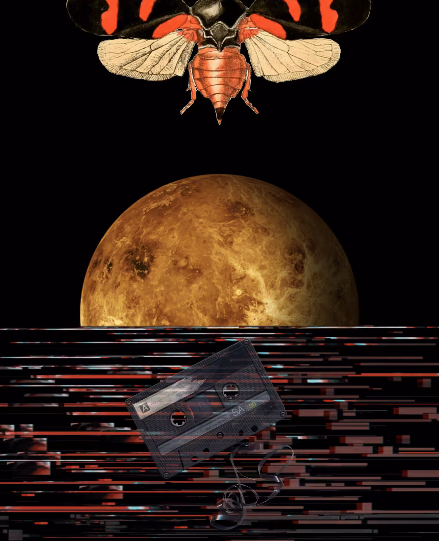 NIGHT SOUNDS