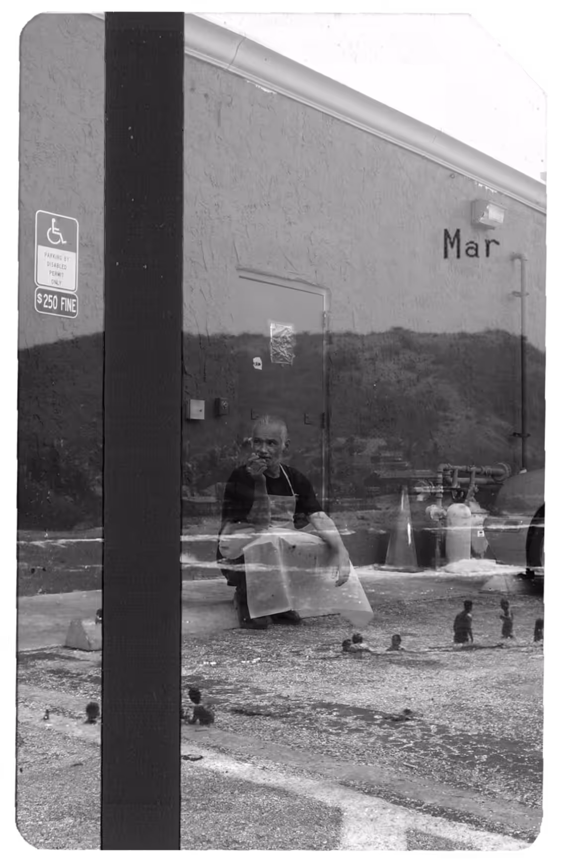 TRNSFR | Mar
