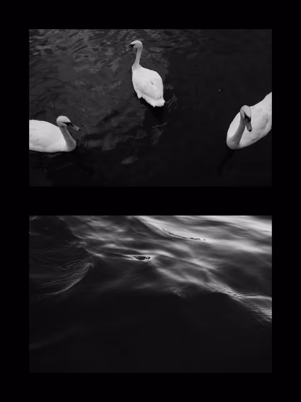 Calm