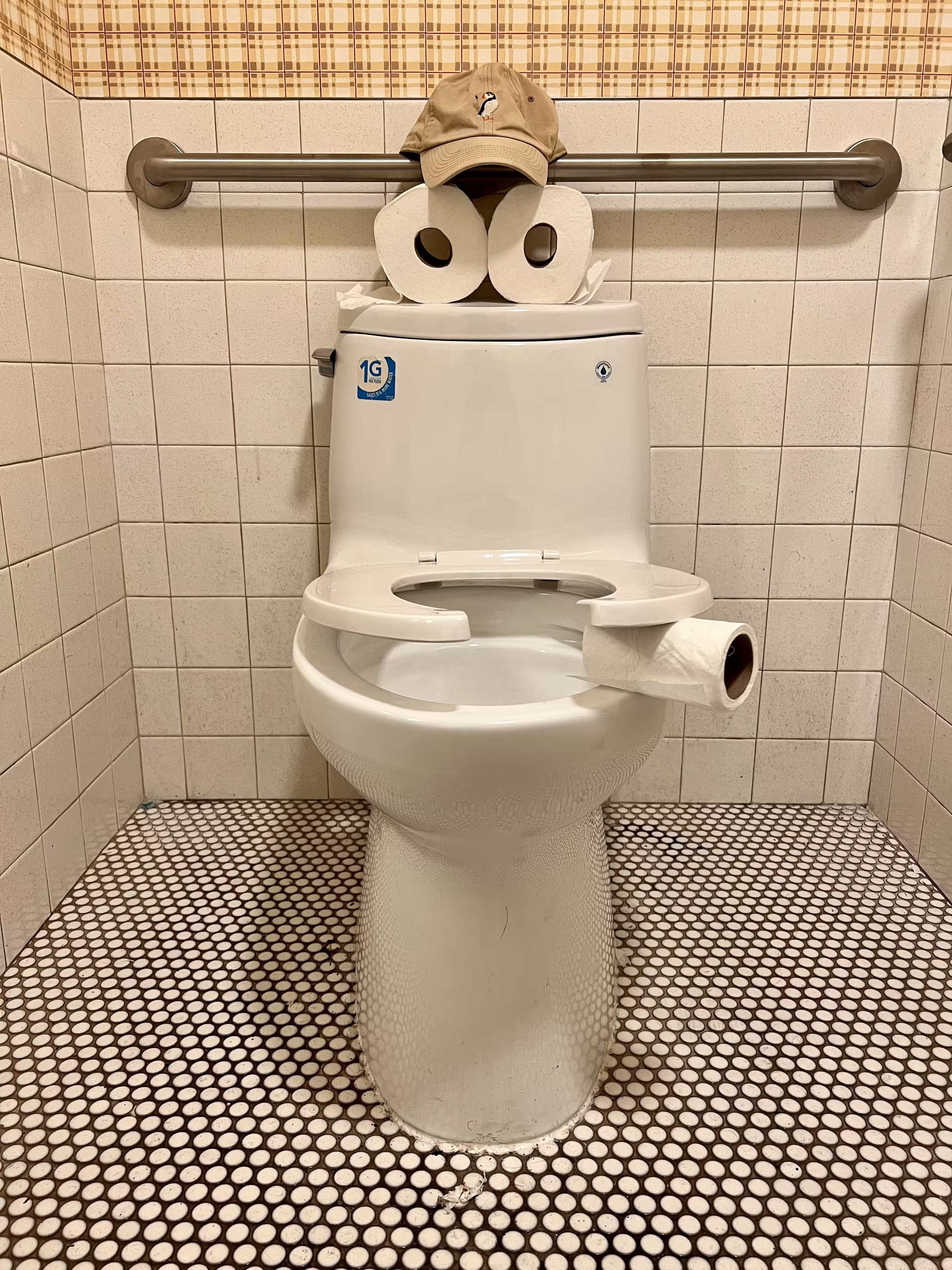 Pepe Toilets NYC #53