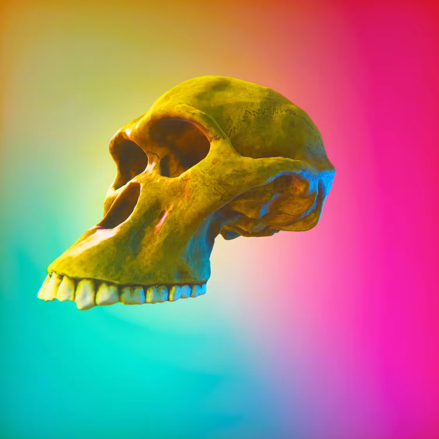 #ExtinctHominids – Aunt Australopithecus