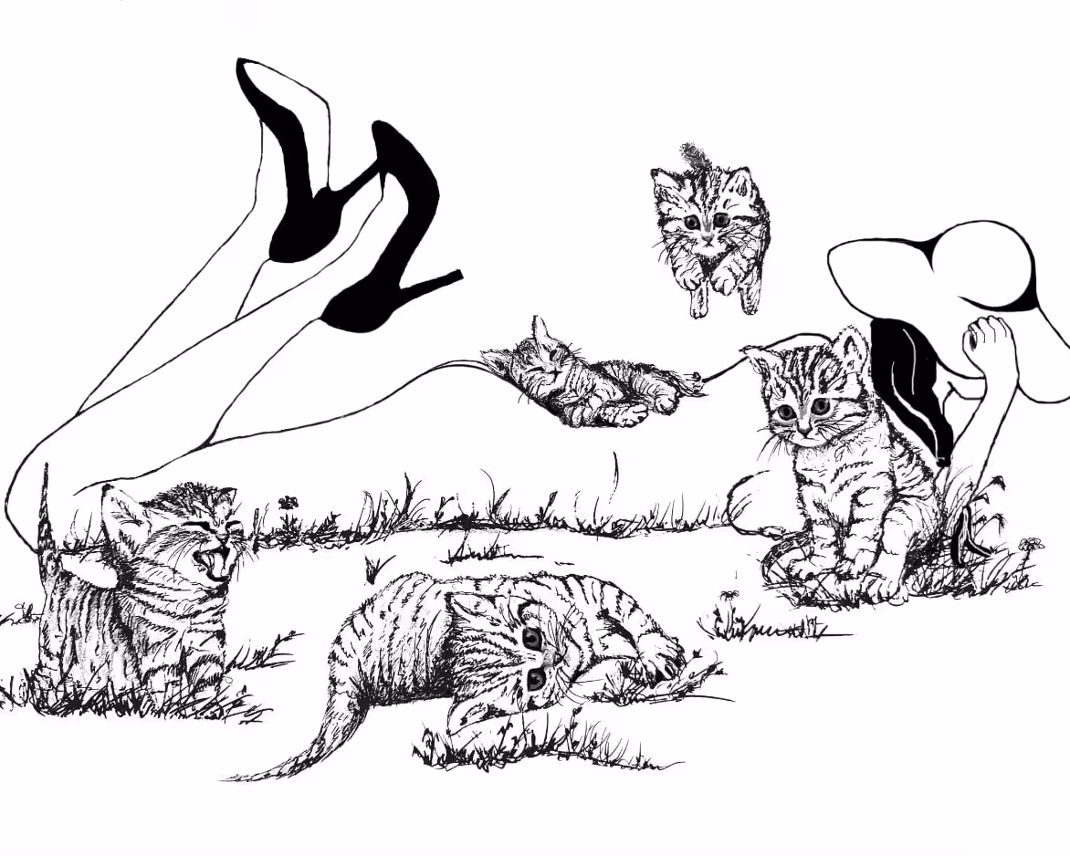 Meow Time